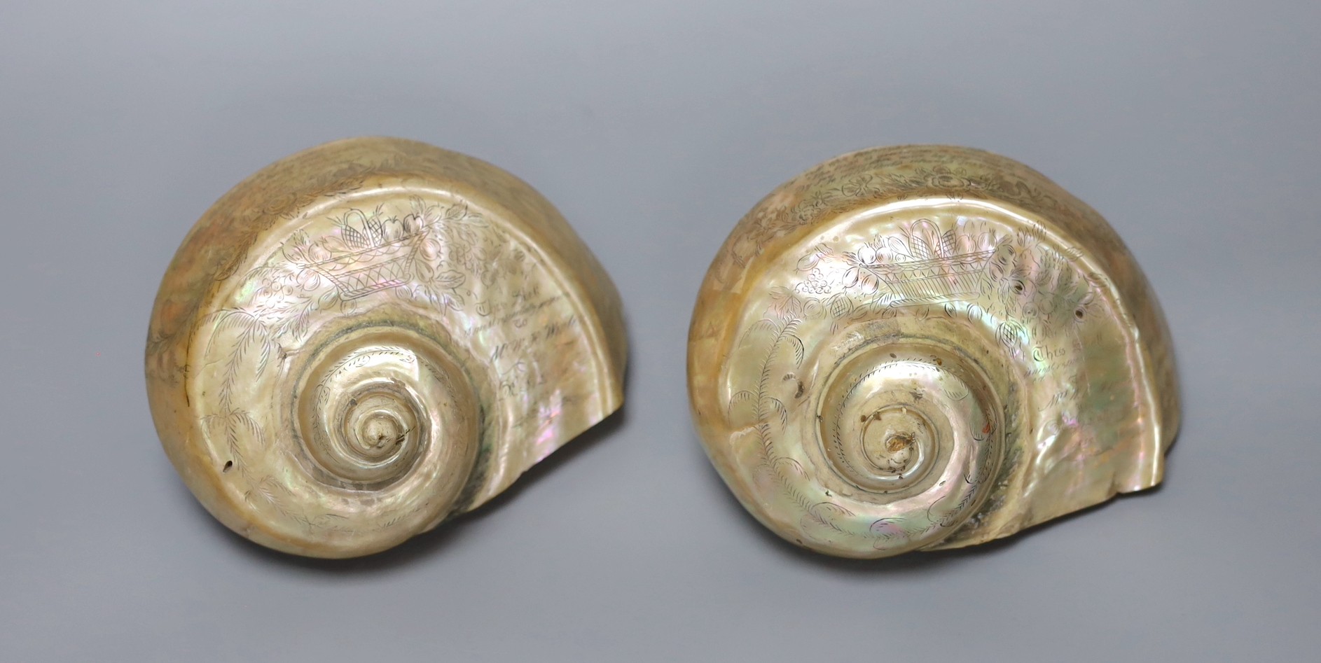Two inscribed opalescent sea shells, both dated 1856
